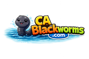 CABlackworms.com