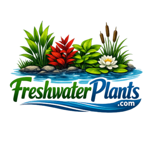 FreshwaterPlants.com
