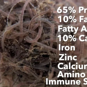 Close-up of live blackworms clustered together, showing thin, translucent worms, with overlaid text listing nutritional benefits: 65% protein, 10% fat, fatty acids, 10% carbs, iron, zinc, calcium, amino acids, and immune support.