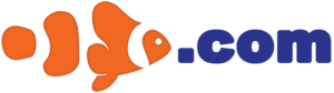 AnemoneFish.com
