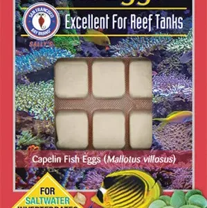 Fish Eggs