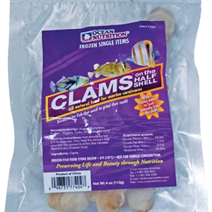 Clams on the Half Shell