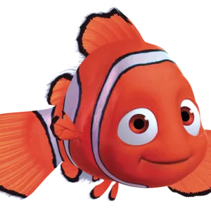 Clownfish