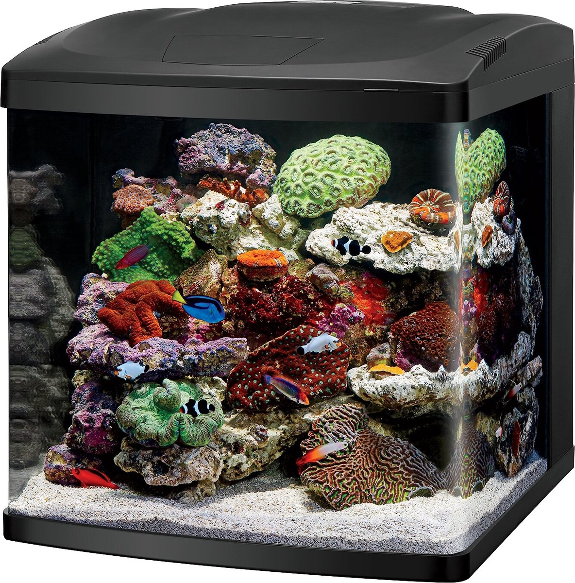 BioCube — Coralife