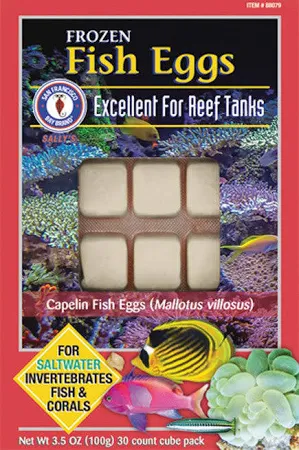 Fish Eggs