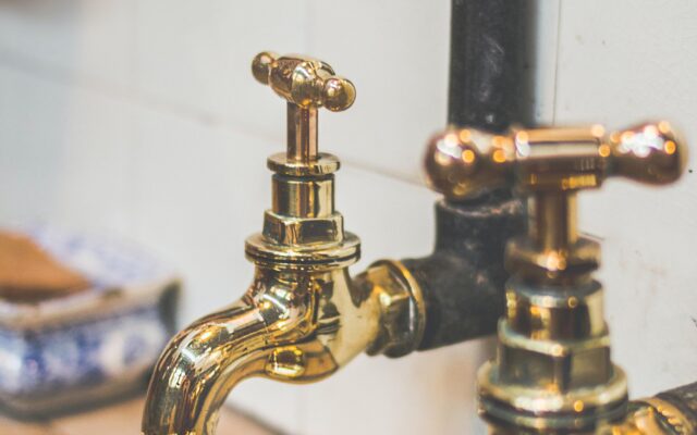 Pexels dominika roseclay 1021872