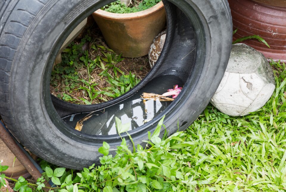 Tire Water Mosquitoes Allen County Department of Health Indiana