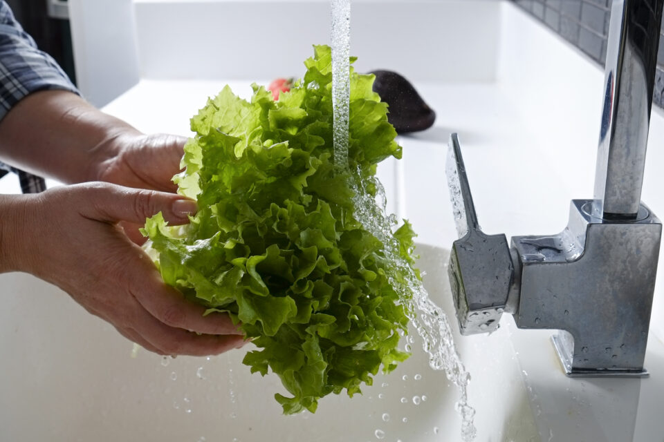 Wash Lettuce Foodborne Illness Allen County Department of Health