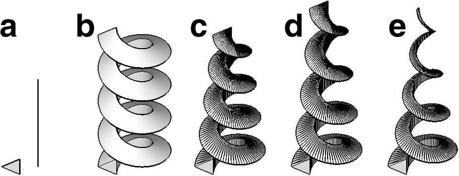 Helix_Ex_2.tif