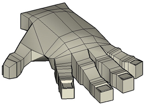 Subdivision Hand