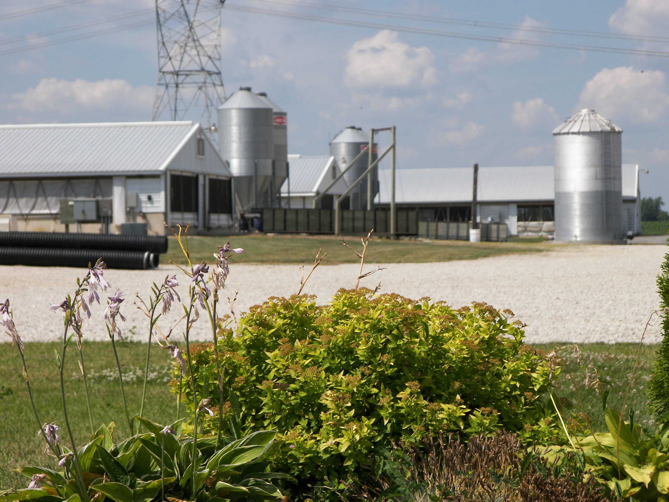 Grower Barn jpg