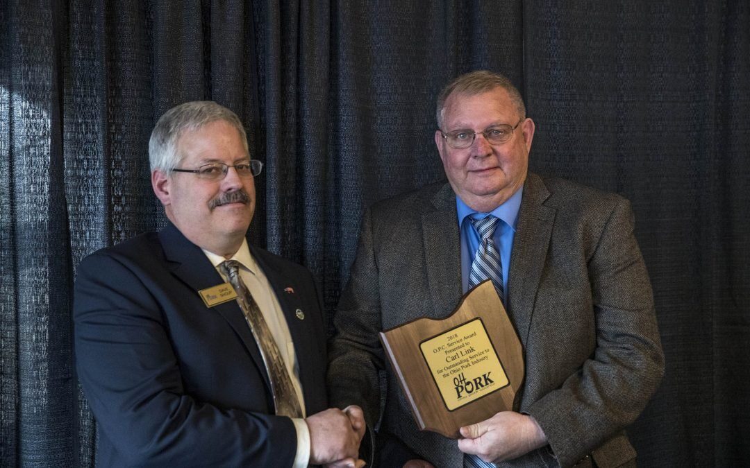 Carl Link Service Award