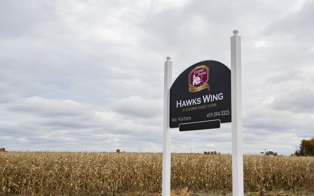 Hawks wing press release
