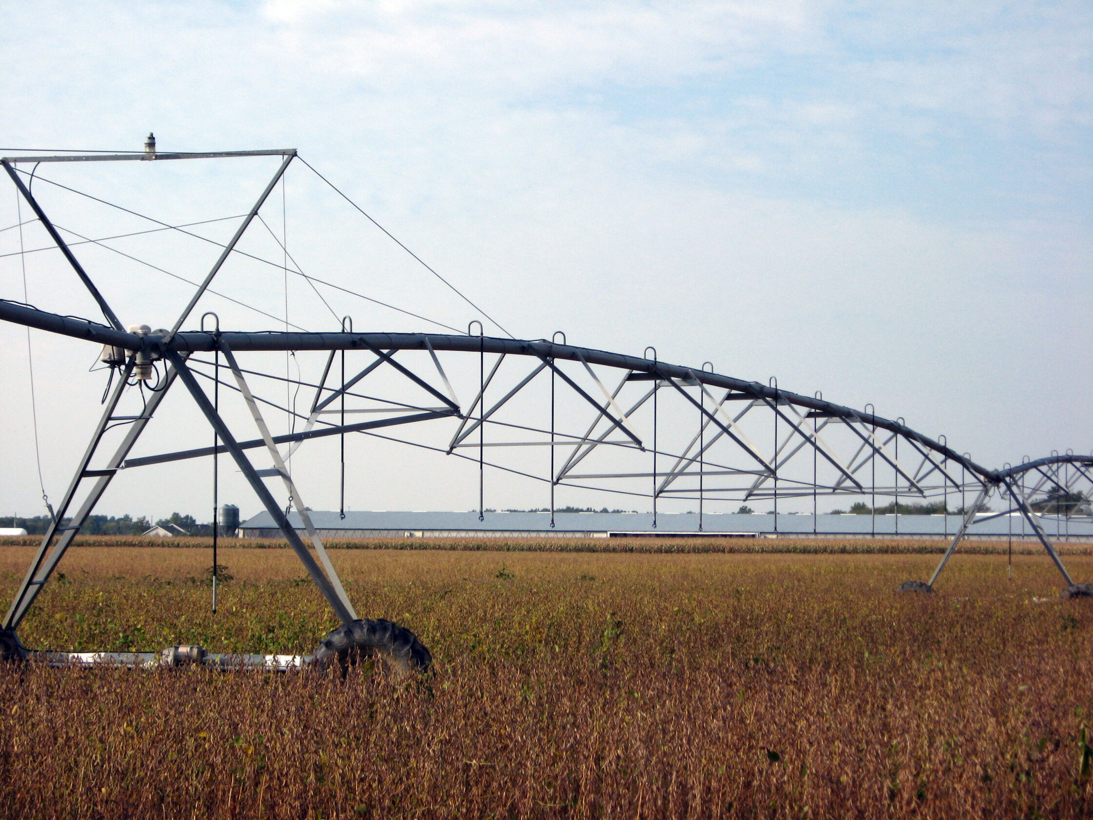 Irrigator beans barn jpg