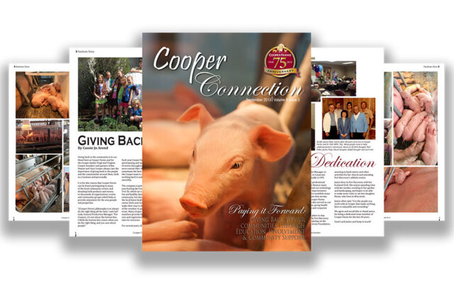 Connection Fall 2013