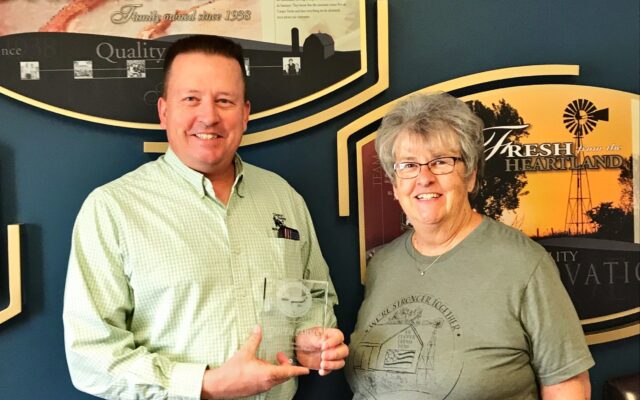 Paulding County Econ Dev Award