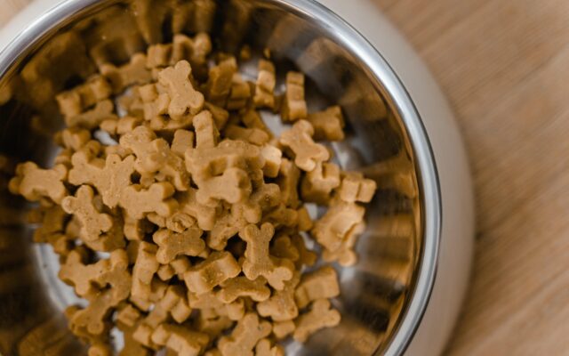 Dog food