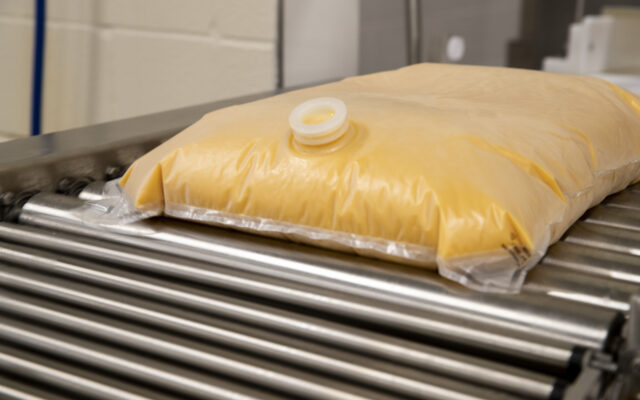 Liquid egg bag