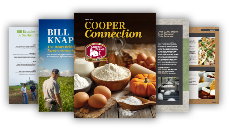 CF CC Web Graphic Fall25
