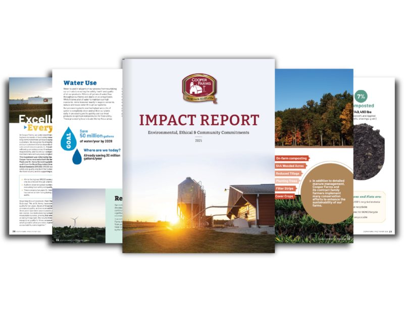 25 Impact Report Preview3