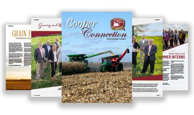 Connection Fall 2019