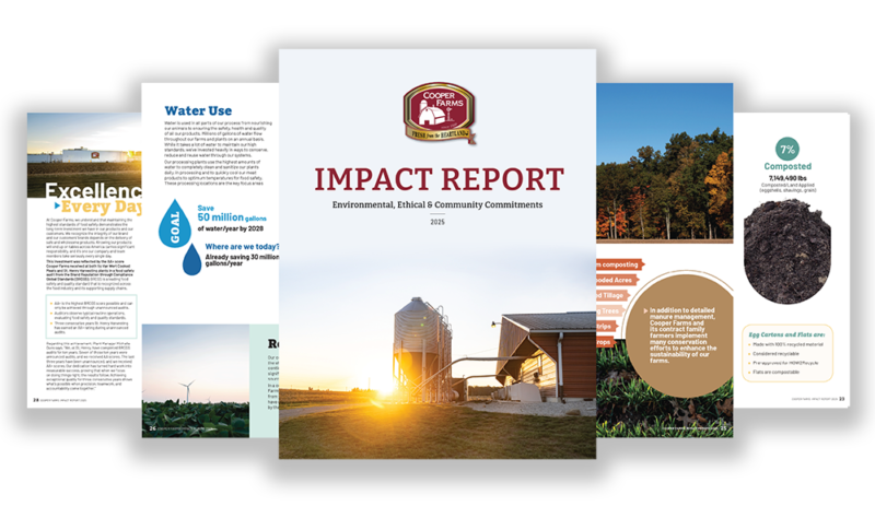 Impact Report Website Graphic