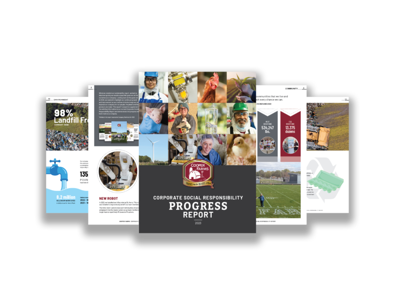 Social Responsibility Report 2023 graphic