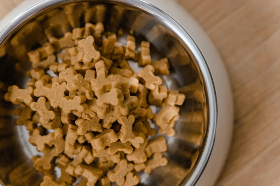Dog food