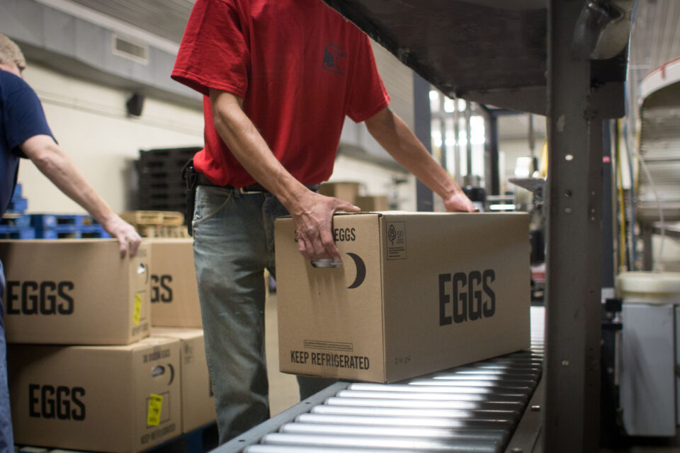 Egg packing