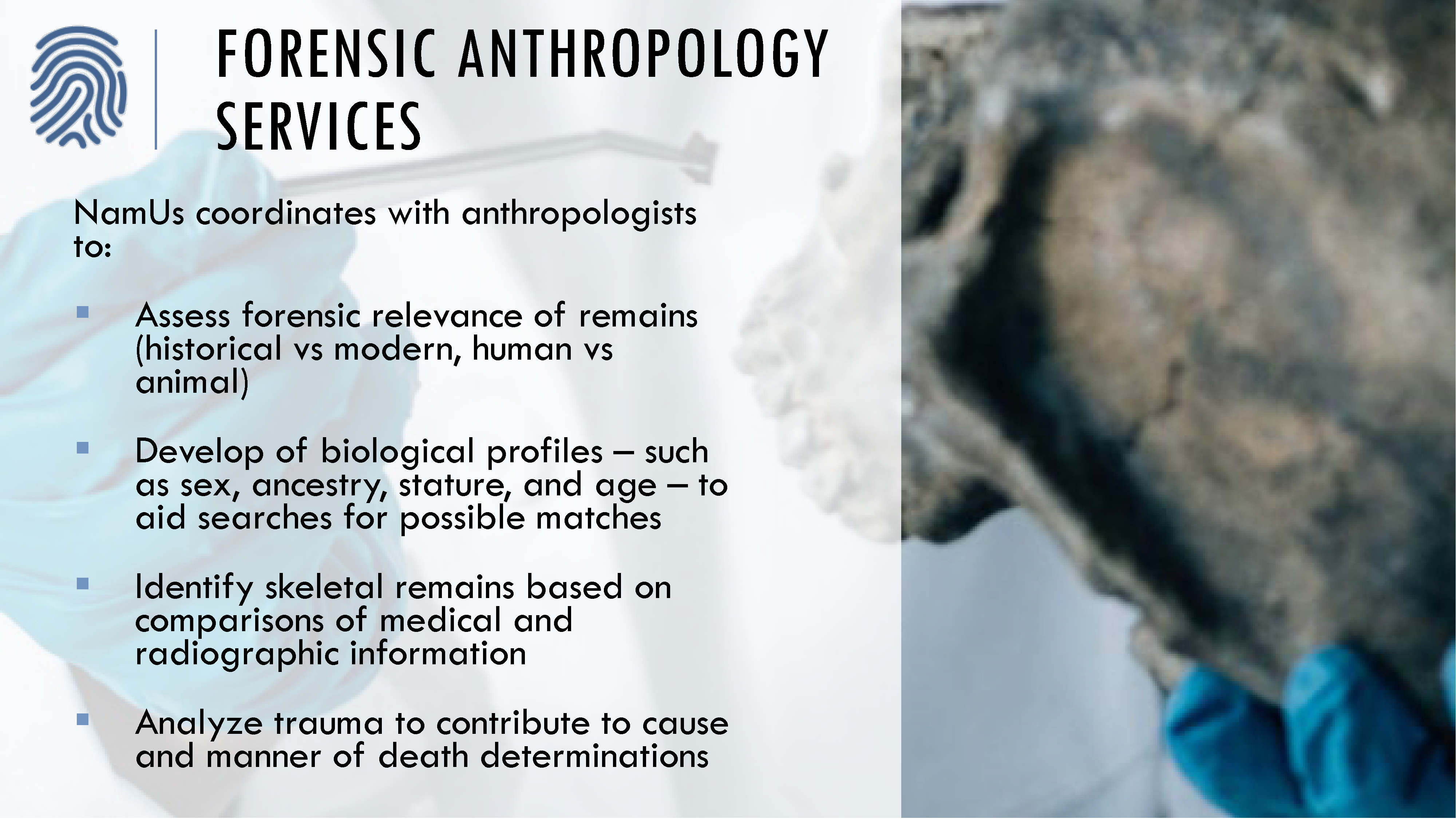 Forensic anthropology services