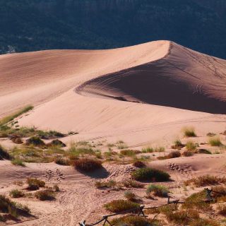 Desert