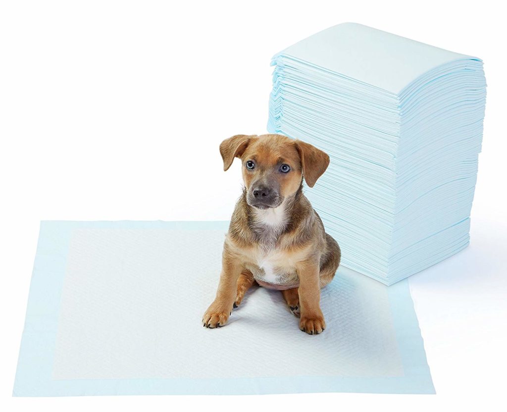 AmazonBasics Pet Training And Puppy Pads