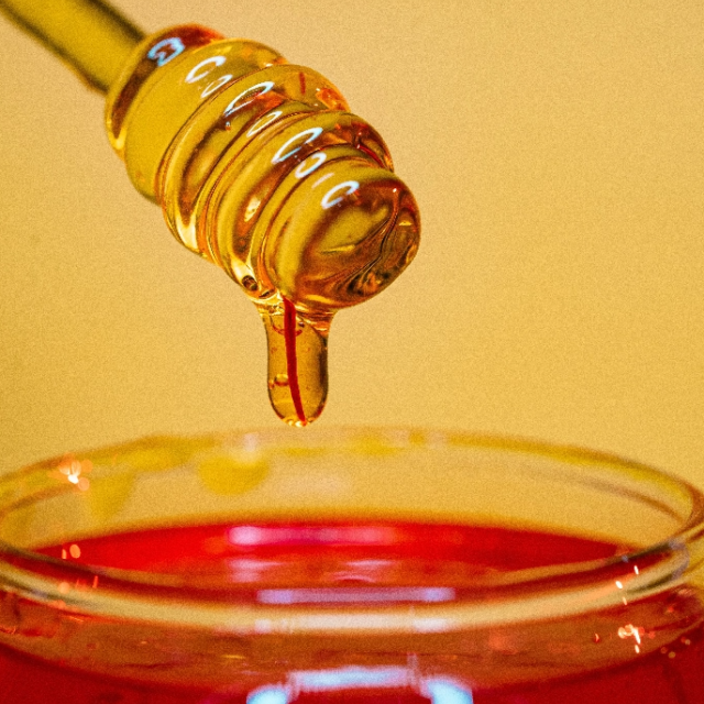 Benyamin bohlouli Rcj302 Npzis unsplash 2x