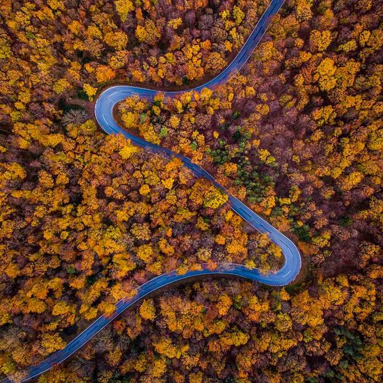 Image of a winding road