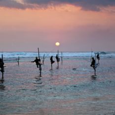 Galle