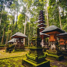 indonesia forest sanctuary