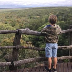 Waterberg safari