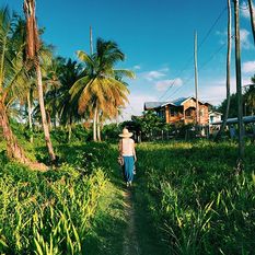 Rural Guyana Listing Image