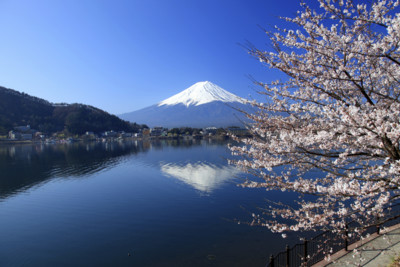 Japan's Mount Fuji