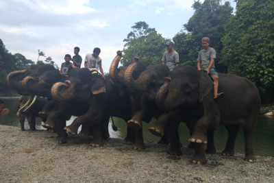 Locals atop their Elephants