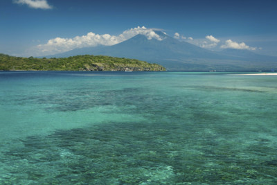 menjangan bali