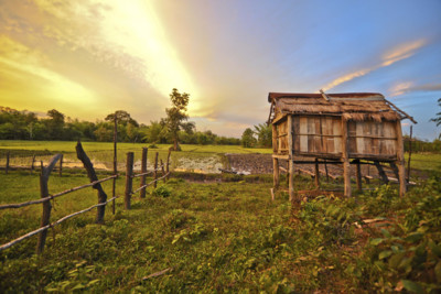 landscape of countryside in cambodia