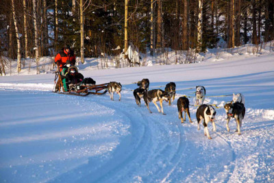 Pine_Tree_Lodge_dogsled