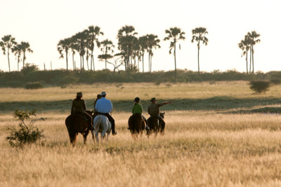 horseback_safari_okavango_delta