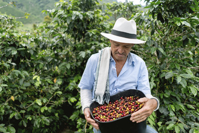 Colombian Coffee Farmer