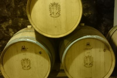 Dubrovnik Wineries