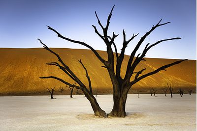 Namibia stark landscape