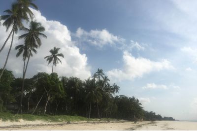 Kenya's South Eastern Beach