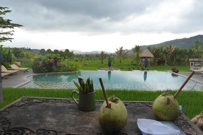 Sanak Retreat swimming pool