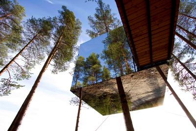 treehotel exterior